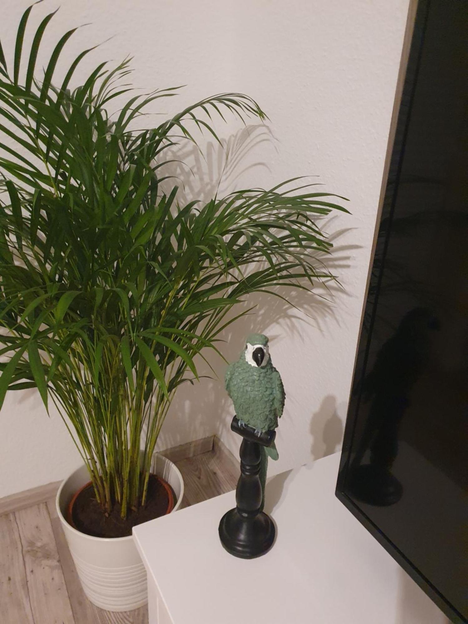 Charmante Haushaelfte Mit Garten Und Terrasse Flensburg Bilik gambar